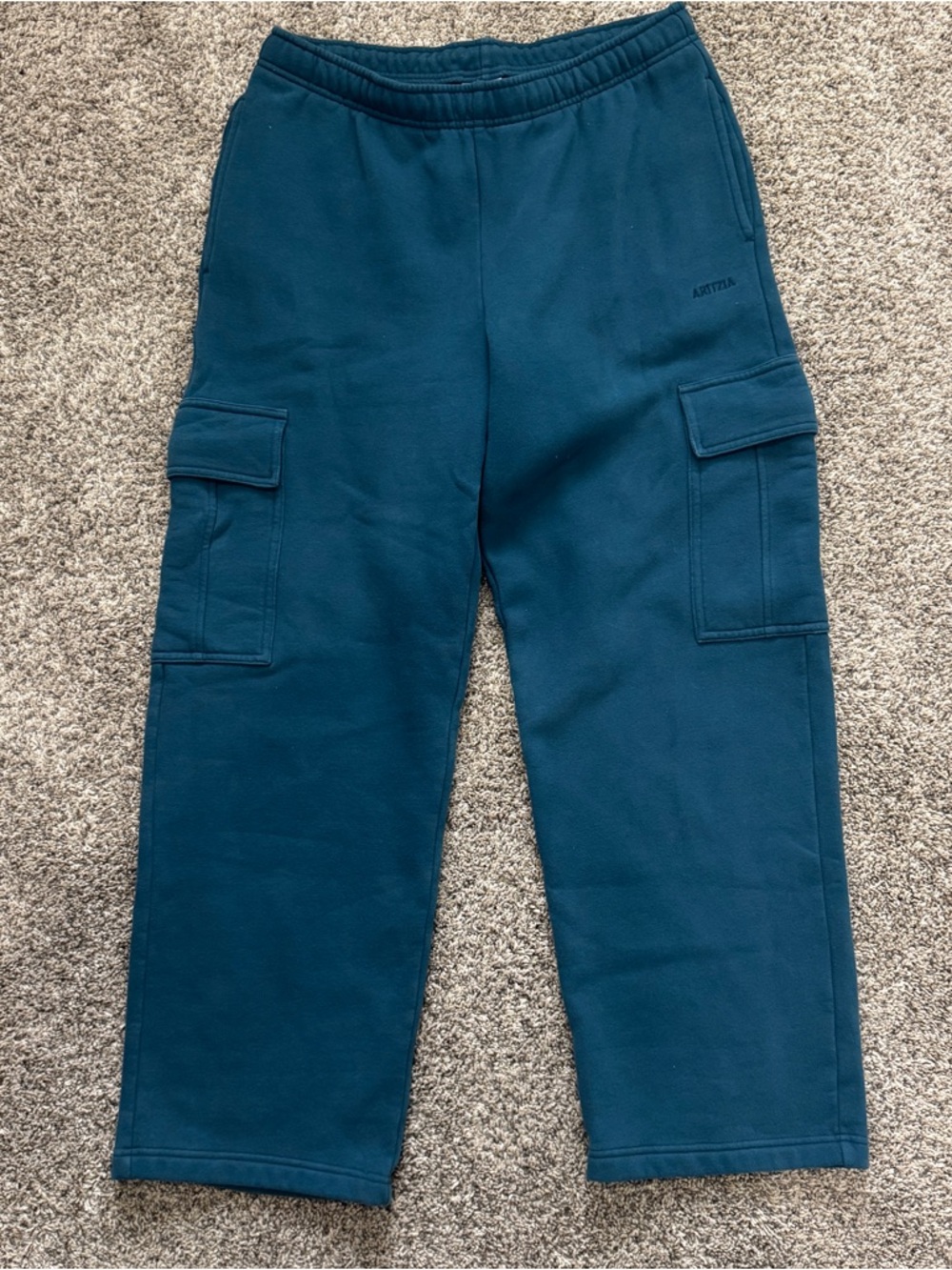 Aritzia Cargo Sweatpants - Teal